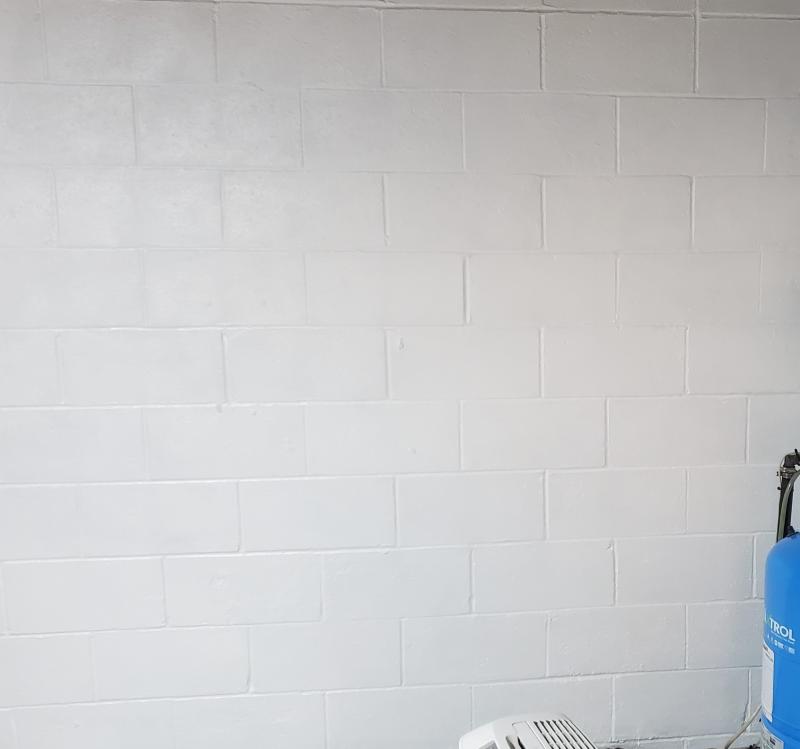 Masonry Water Proofing with Ames Blu Max